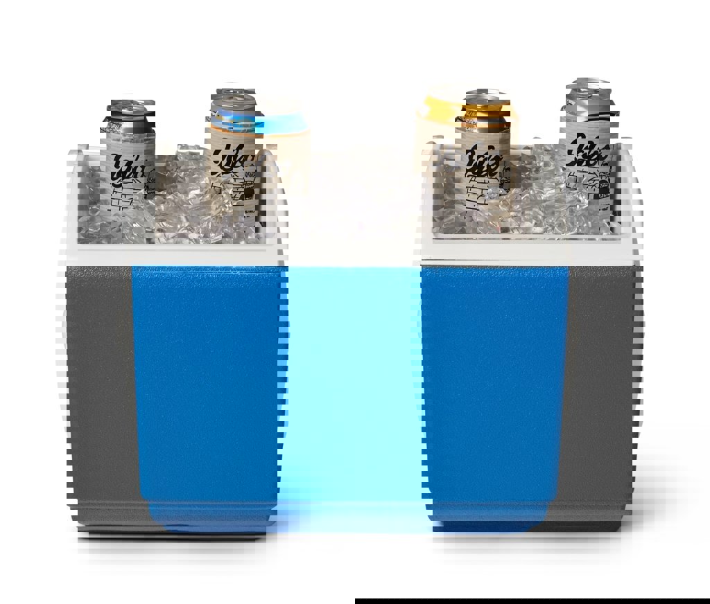 koelbox playmate igloo-12