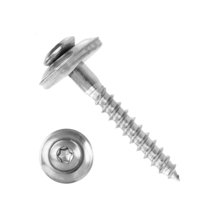 dakpanschroef rvs a2