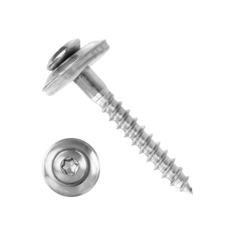 dakpanschroef rvs a2