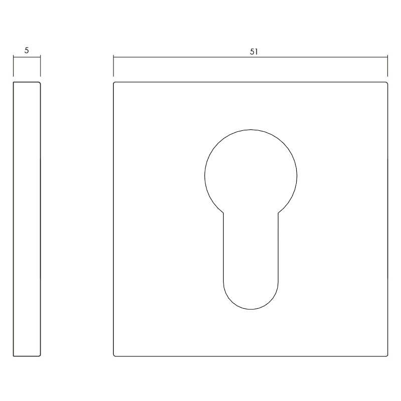profielcilinderrozet chroom mat-3