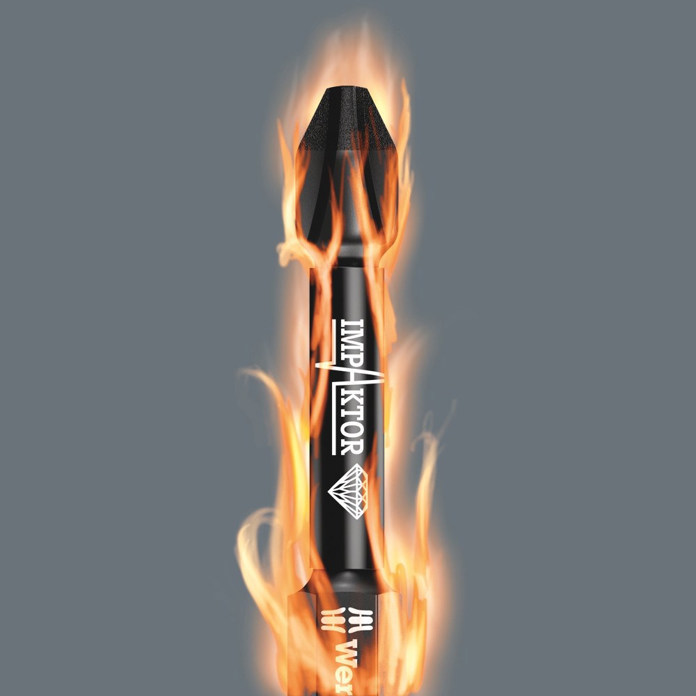 schroefbitset wera-5