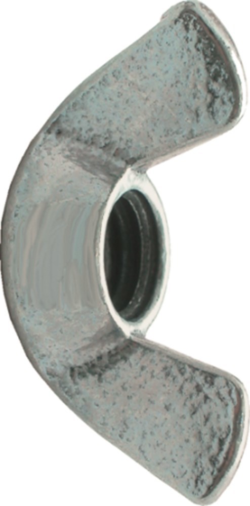 vleugelmoer elvz kelfort