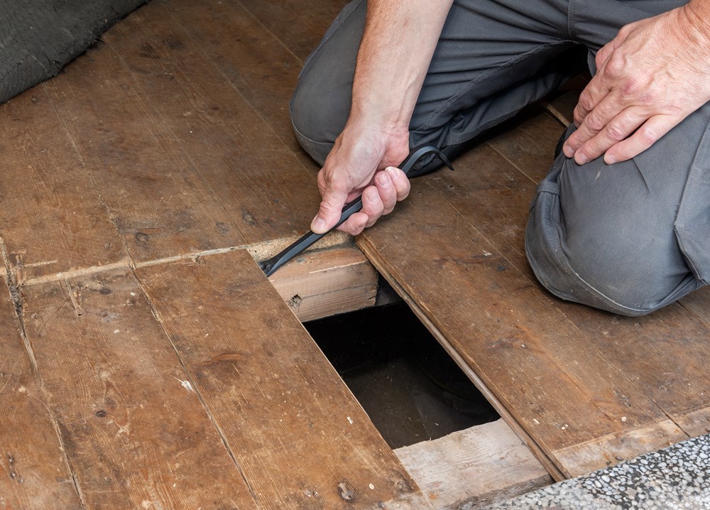 koevoetset roughneck-6