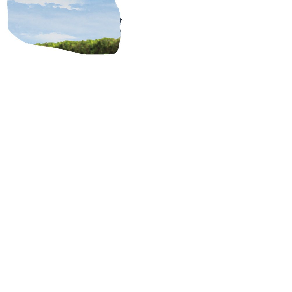 accu bladblazer/-zuiger makita-11