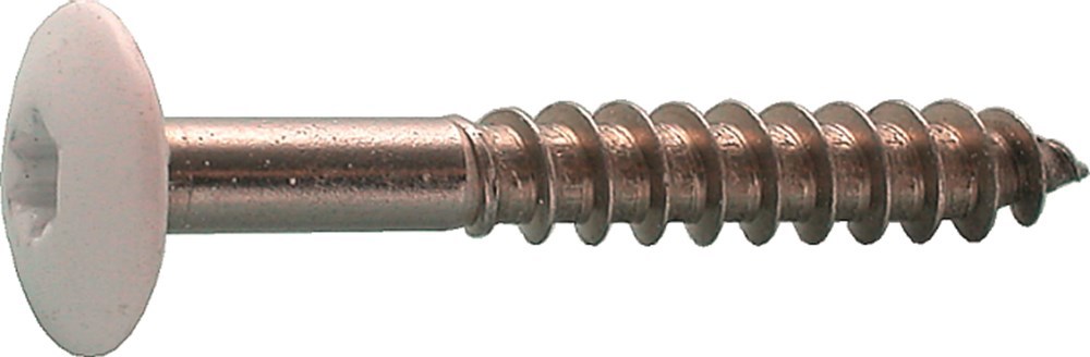 kleurkopschroef rvs a2 kelfort